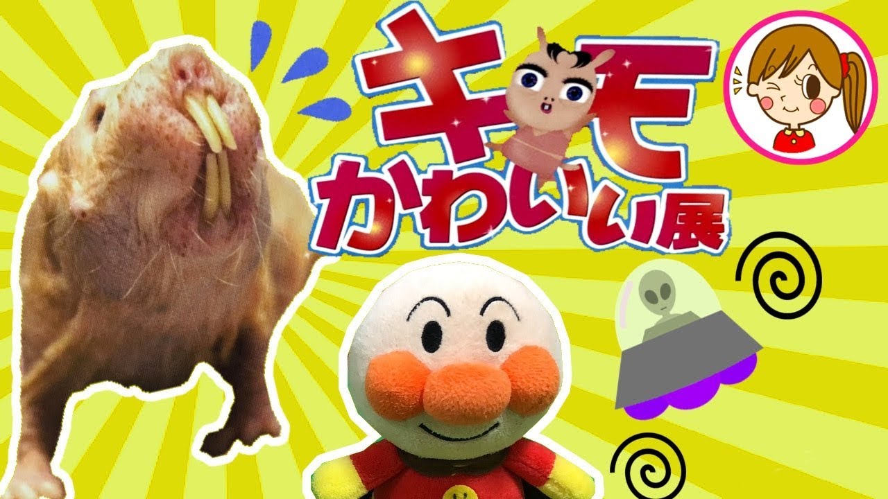 アンパンマンが消えた 宇宙人からのミッション キモかわいい展でヒカキンさんのサインを探せ 鬼から電話 アプリ おもちゃ アニメ Youtube