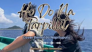 Download Lagu Ho Do Na Tarpillit - Cover by Bernaldo Napitupulu MP3 Download Lagu Ho Do Na Tarpillit - Cover by Bernaldo Napitupulu MP3