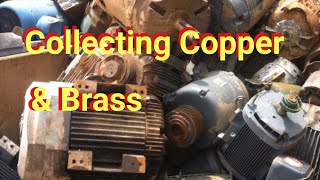 Copper And Brass Everywhere / Recycling / Lets Go Get Some Scrap Metal