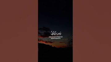 تلاوة عطرة ❤تلاوة هادئه تريح القلب ❤ قران كريم ❤ قرآن ❤قران ❤ تلاوة خاشعة ❤أرح سمعك ❤ short ❤