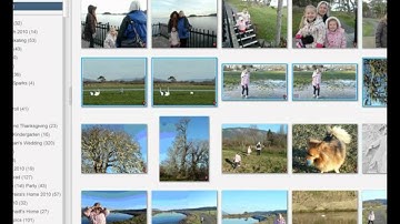 Selecting Photos - the Tray in Picasa.wmv