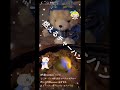 【ショート】燃えるチャーハン