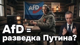 Шпионаж для Москвы? Министр SPD обвиняет AfD — без доказательств