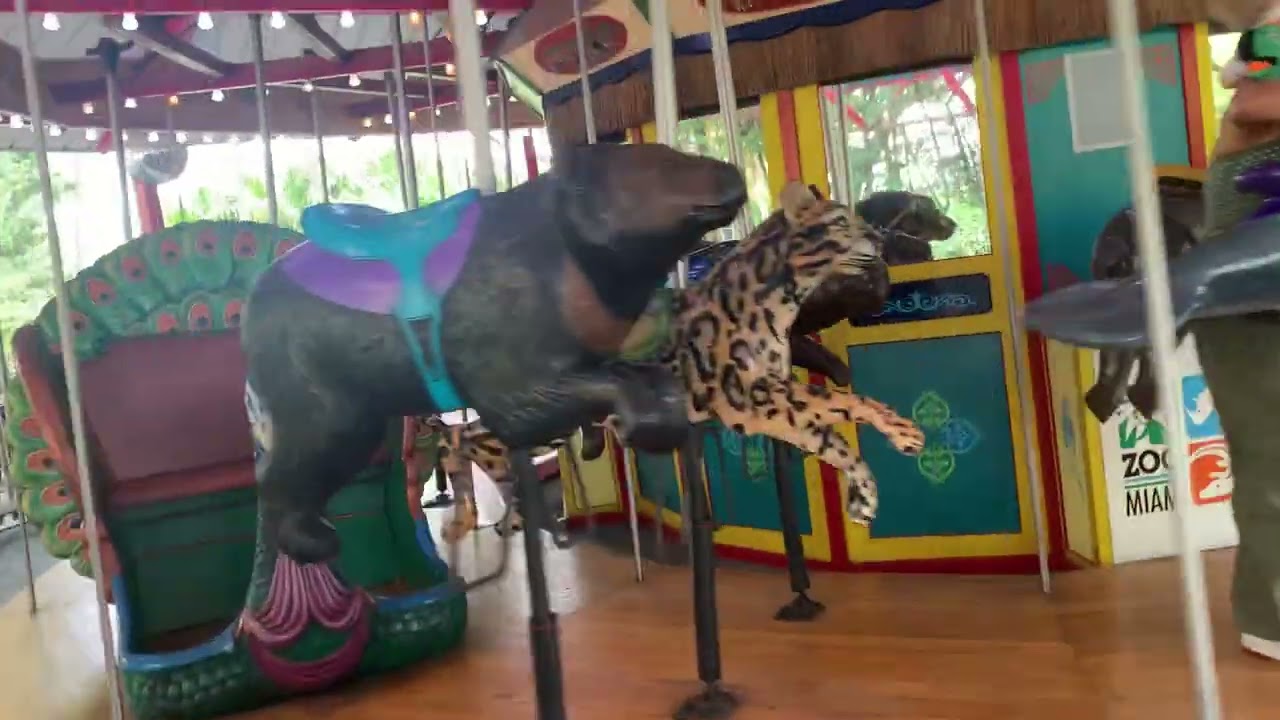 Zoo Miami Carousel