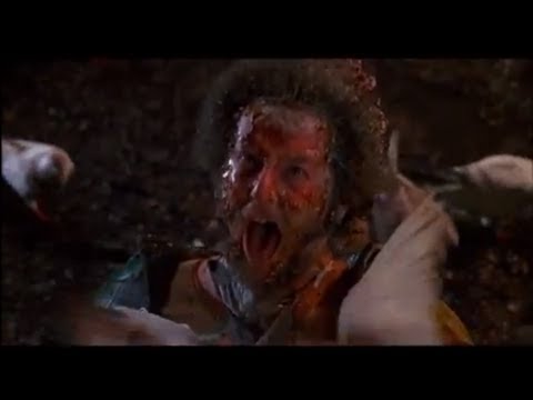 Marv & Harry - Pidgeon Attack (Home Alone 2) HD