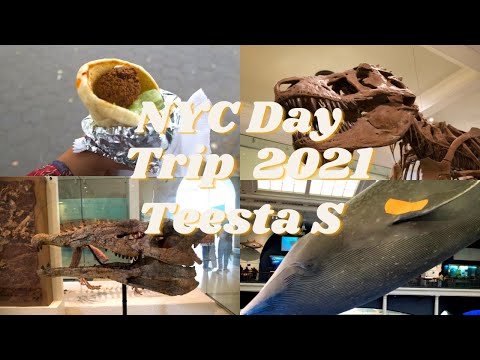 NYC Day Vlog 2021 🦣🦖🏙| Teesta S