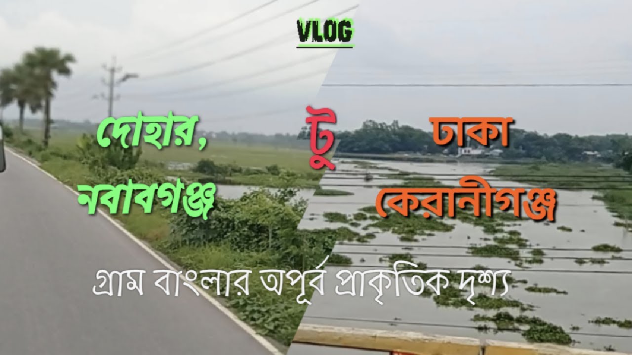 Dohar Nababganj to Dhaka গ্রামের অপুর্ব দৃশ্য দোহার নবাবগঞ্জ টু