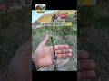 apple grafting #grafting  #apple #sebwalafarm #applegrafting