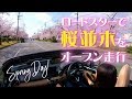 ロードスターで1.5kmの桜並木をオープンドライブ！