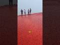 The Island That Looks Like It’s Bleeding During Heavy Rain #shortvideo #shorts