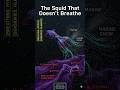 The Squid That Doesn’t Breathe #absolutescience #Abyss #DeepSea #biology