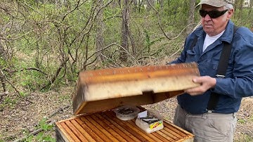 ‘Perone Hive’ - Look through a non-operational hive