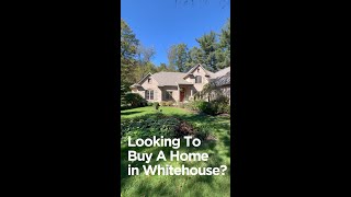 11368 Birch Pointe Dr video tour