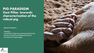 Host Pillar: towards characterization of the robust pig - 2024 CPHPig Seminar