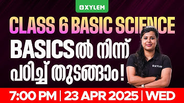 Class 6 Basic Science | Basics ൽ നിന്ന് പഠിച്ച് തുടങ്ങാം ! | Xylem Class 6