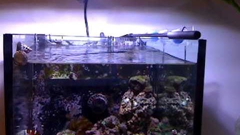 Vortech MP10 wave making on my 80L tank
