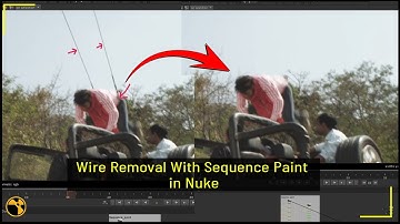 Nuke Wire Removal Tutorial | Nuke Sequence Paint