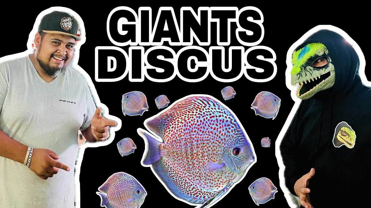 ¿Dicus Gigantes en México? 🦖