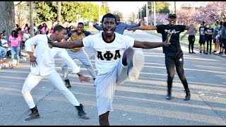 Alpha Phi Alpha - AX Chapter - Fisk University - 2018