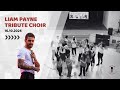 Liam Payne Tribute Choir Walking In The Wind mp3