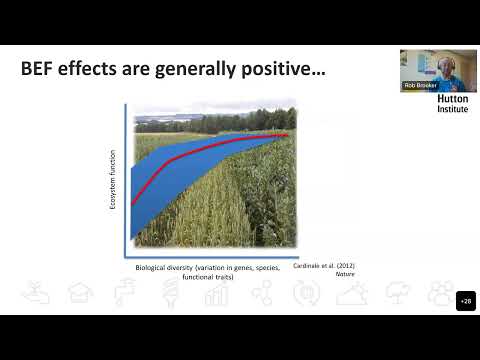 IBH Seminar: Getting