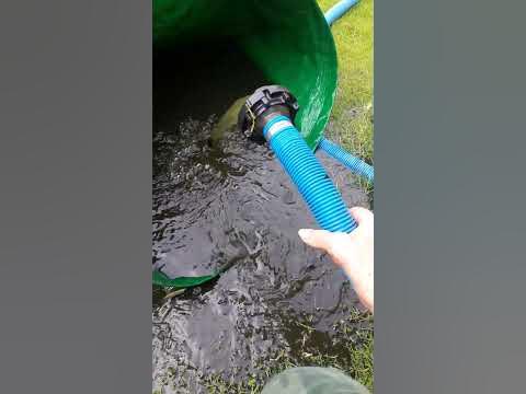 Einen Teich entschlammen YouTube