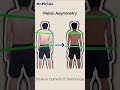 Correct postures! (pelvic/spinal asymmetry, APT, rounded shoulders, etc)