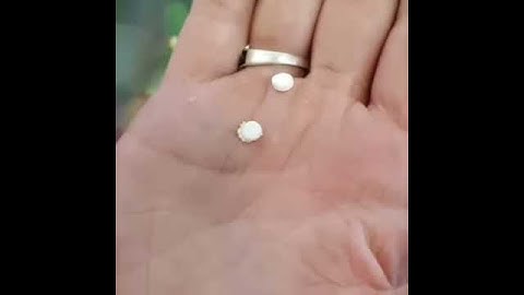 No comas estos dulces