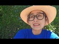 Fire Pit, Sadness, & the Clear Blue Skies: Lesson from my teacher Jetsunma Tenzin Palmo