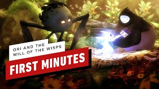 Ori and the Will of the Wisps: The First 17 Minutes of Gameplay