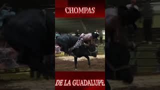 ✡︎💯CHOMPAS DE LA GUADALUPE SE LUCIO EN  CAROLINA DEL NORTE 🇺🇸