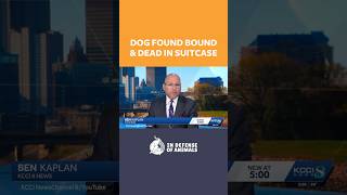 Dog Fond Bound & Dead in Suitcase