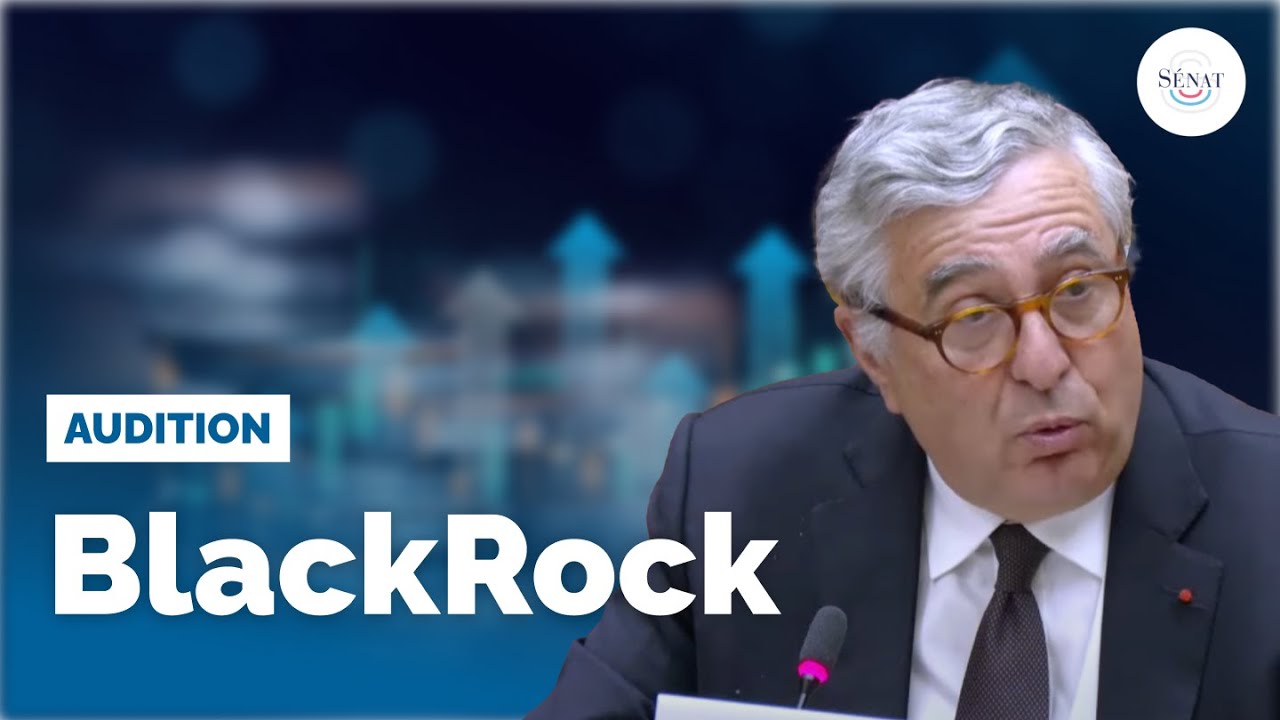 Aides aux grandes entreprises : audition de BlackRock