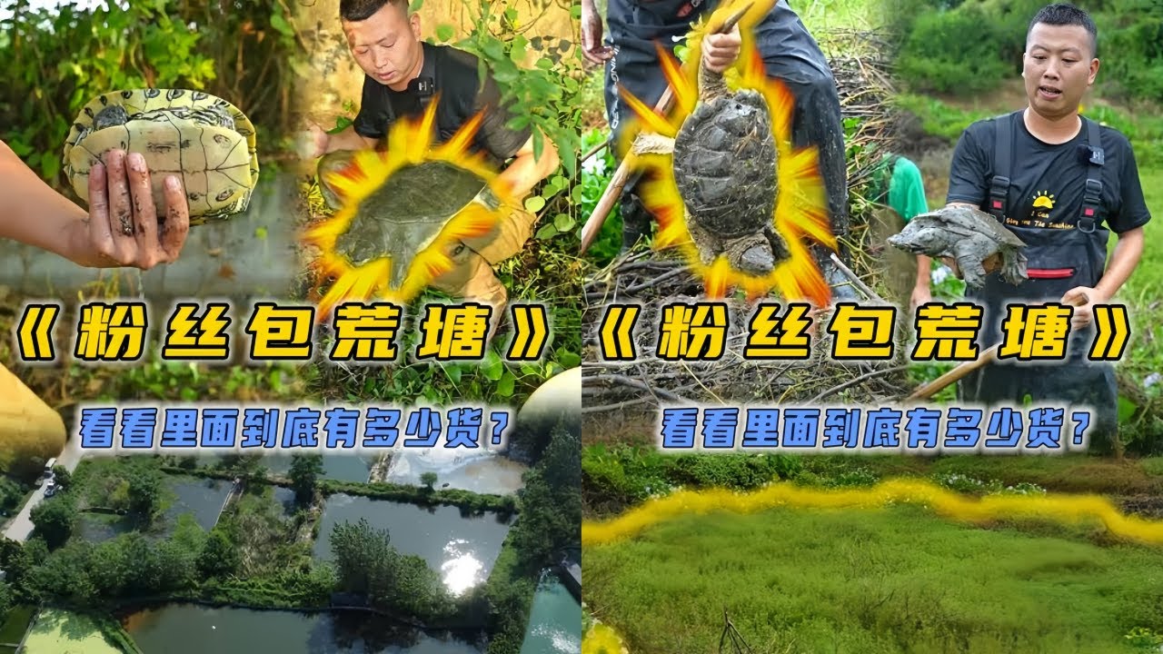 小飞哥花1000元帮粉丝朋友包下个荒塘，看看里面到底有些什么货？｜花500元帮粉丝朋友包下个荒塘，看看里面到底有些什么货？