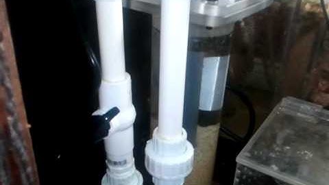 Avast recirulating biopellet reactor