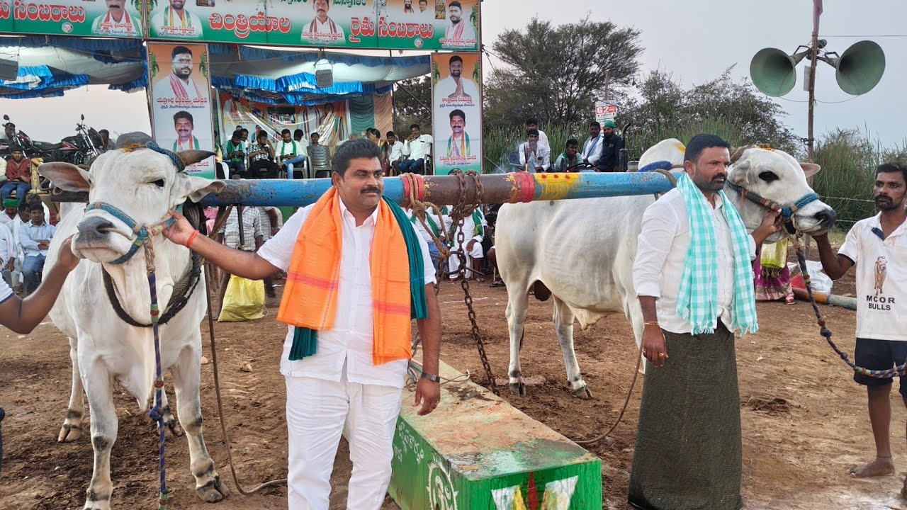 చింత్రయాల 2️⃣🏆🎖️🔥మార్తాల చంద్రఓబుల్ రెడ్డి గారు చౌటుపల్లి ( మచ్చల పులి కారం జయ )