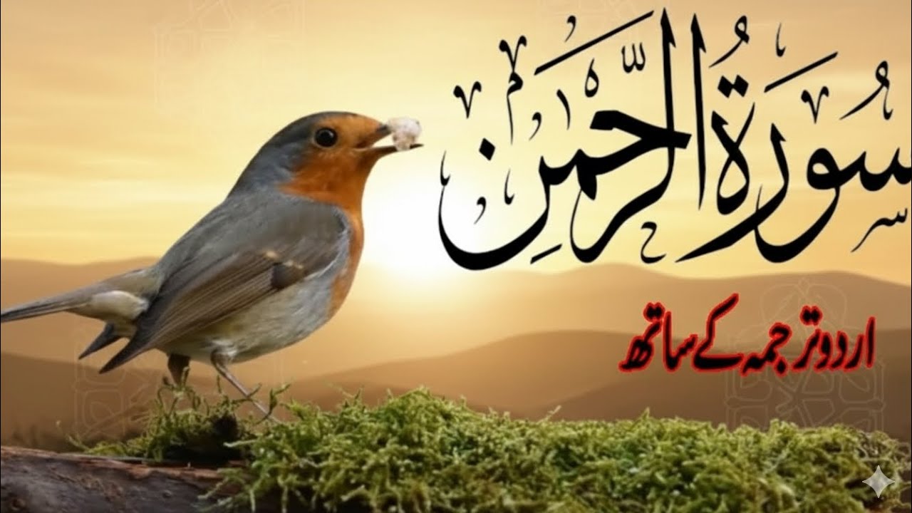 Surah Rehman in Urdu and Arabic test....l ❤️❤️❤️🖤
