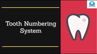 How To Learn Tooth Numbering System: Tips and Tricks