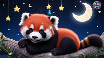 Adorable Red Panda Sleeping | Relaxing Bedtime Video for Kids & Toddlers 🐾🌙