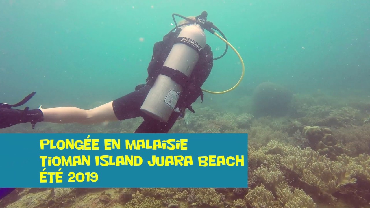 Malaisie * Tioman Island * Juara Beach * Plongée sous-marine - YouTube