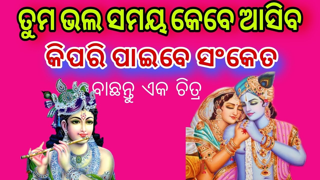 Pick a card Odia 🧿odia astrology 📌 Odia Tarot card reading