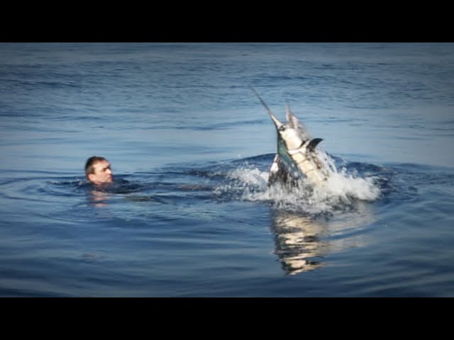 BIG Sailfish Caught on a HAND LINE- Chasing Monsters - YouTube