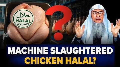 Are Machine Slaughtered Chickens Halal To Eat || Assim Al Hakeem || Sheikh Asim