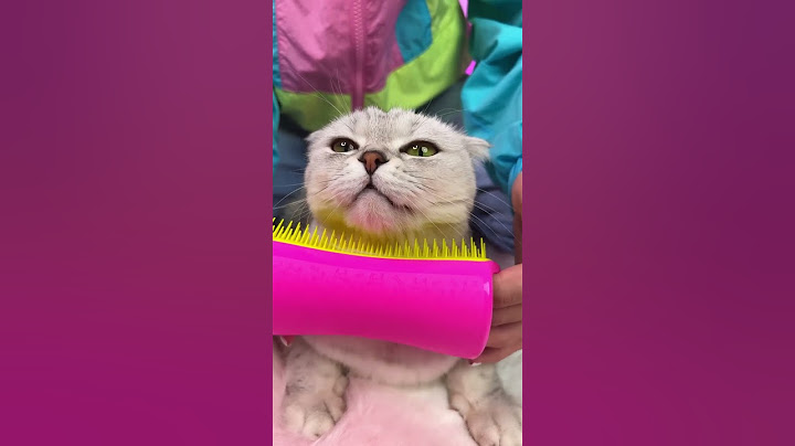 Finally, Sonya got a toy made of herself