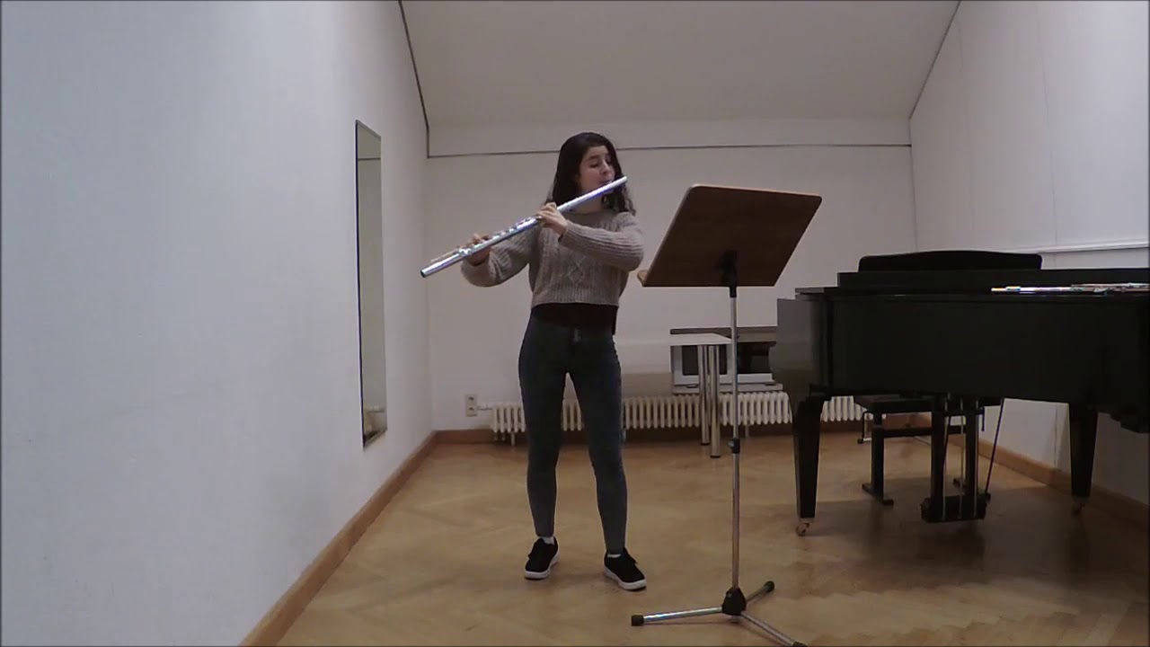 Alto flute Excerpts Sagit Zur YouTube