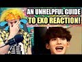 An unhelpful guide to EXO | EXO BEING EXTRA | REACTION!!
