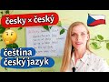 Český česky čeština český Jazyk What S The Difference Český česky čeština český Jazyk What S The Difference