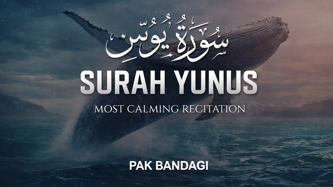 Surah Yunus (سورة يونس) | Beautiful & Peaceful Quran Recitation | Pak Bandagi