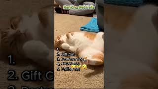 Ranking best Pet Fails #petfails #funnyanimals #cats #dogs #shorts #viral #fyp #funnyvideos