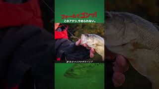 【冬のバス釣り】バイブレーションのリフト＆フォール「マイクロザリバイブ」 #バス釣り #赤松健